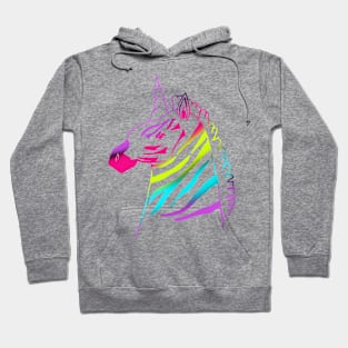 Neon Rainbow Zebracorn Unicorn Hoodie